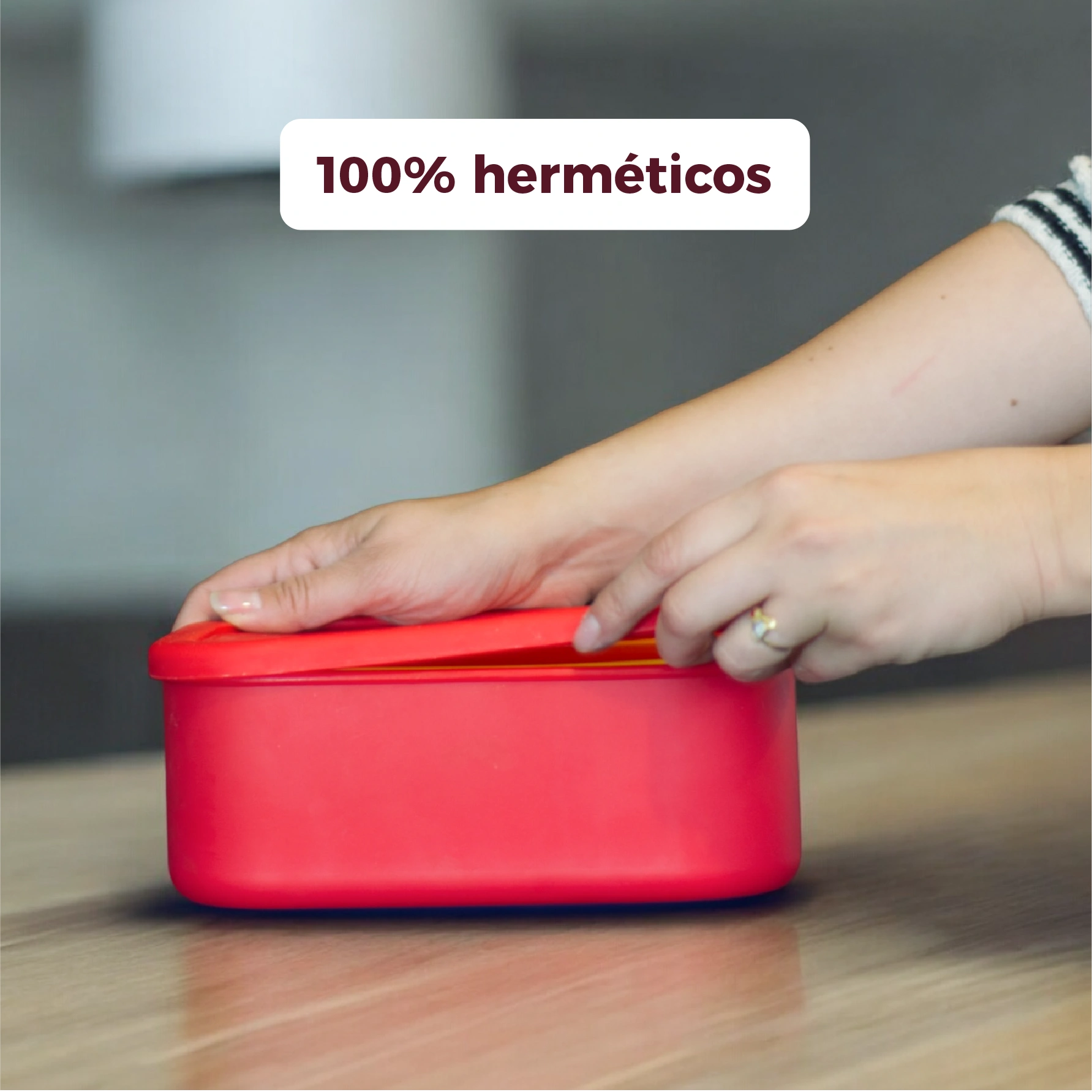 Bento 4 en 1 rectangulares - Zaphira Online