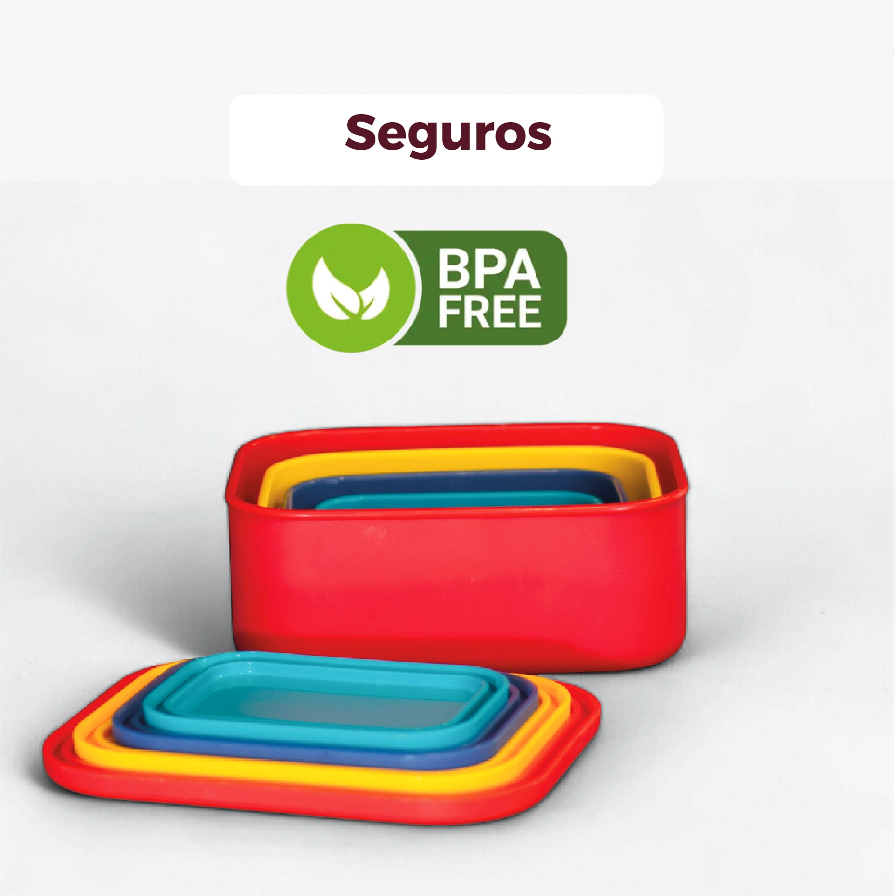 Bento 4 en 1 rectangulares - Zaphira Online