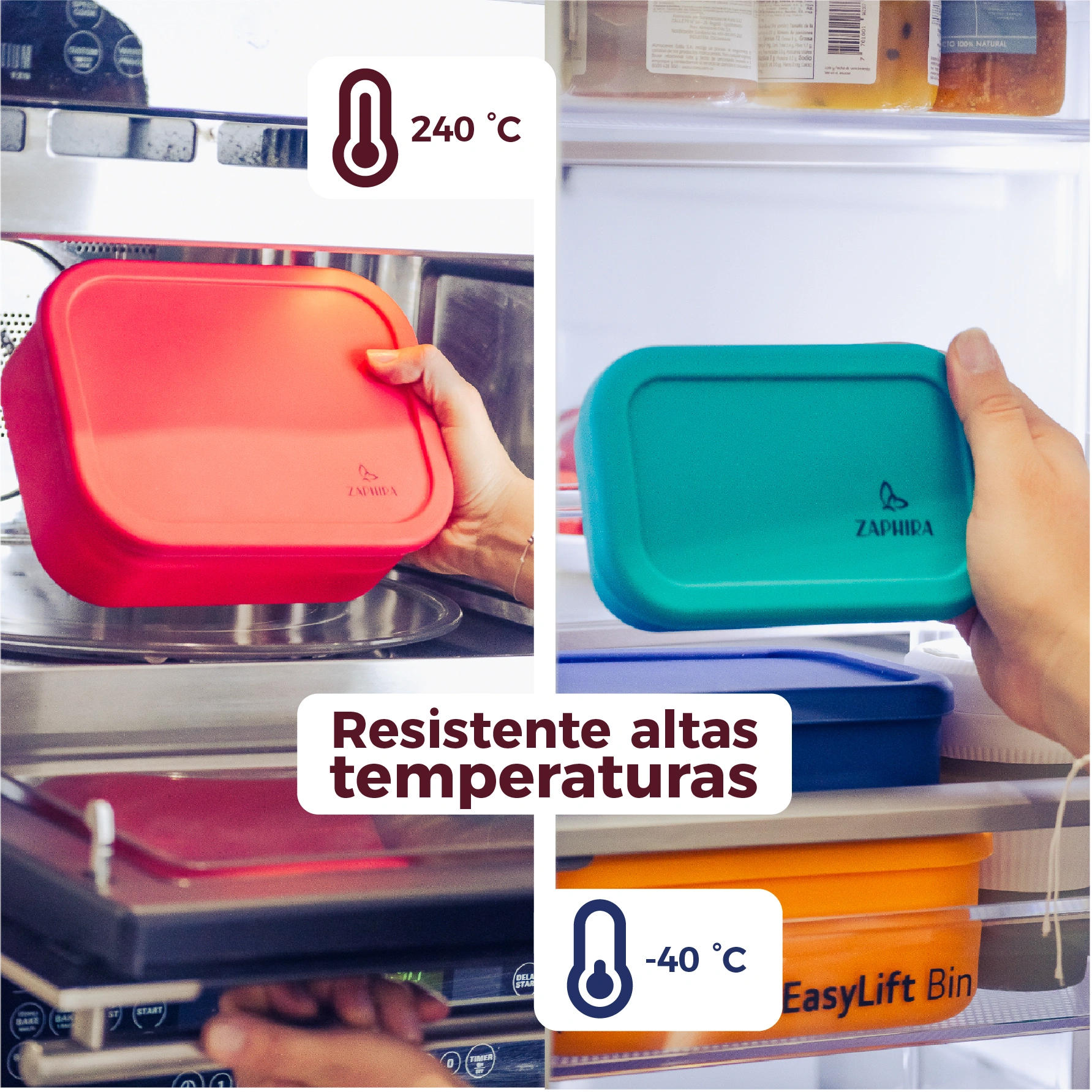 Bento 4 en 1 rectangulares - Zaphira Online