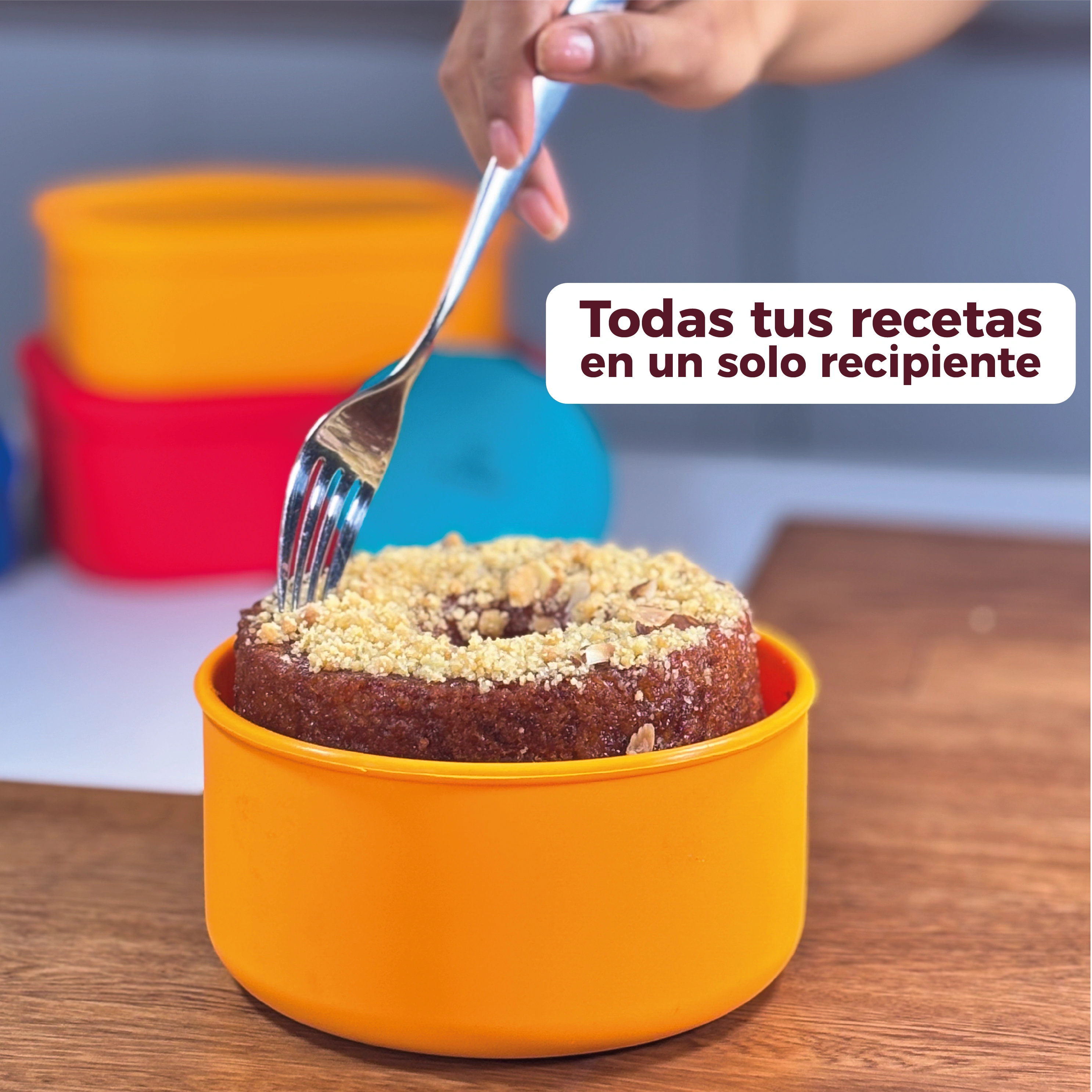 Bento 4 en 1 Zaphira