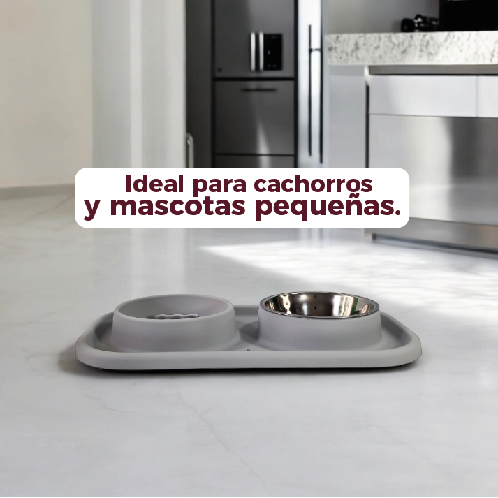 Bebedero y comedero para mascotas