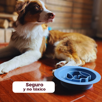Plato antiestres mascotas
