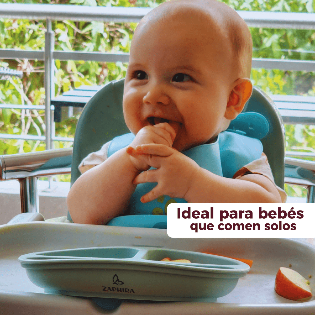 Plato antideslizante para bebés - Zaphira Online